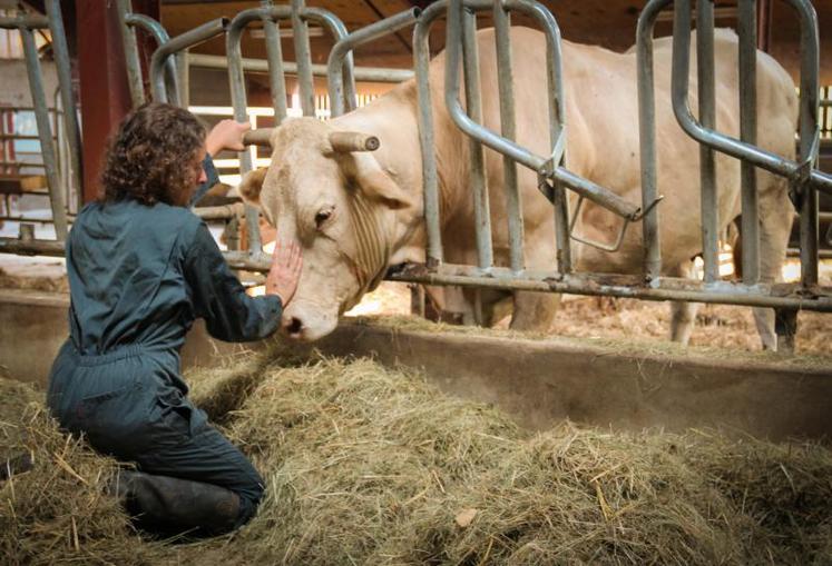 De plus en plus d’agriculteurs se tournent vers
des médecines alternatives comme l’homéopathie, l’aromathérapie ou l’ostéopathie pour soigner leurs animaux.