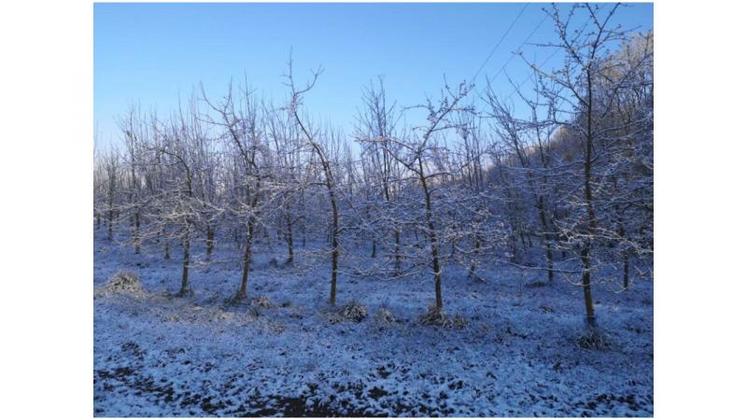Le groupe de travail retient l'hypothèse d'une hausse rapide du taux de pénétration de l'assurance multirisque climat.