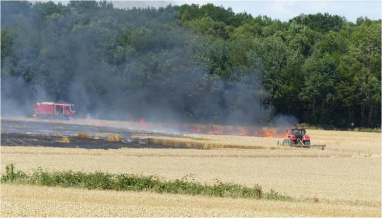 Il est conseillé d’éviter de moissonner aux heures les
plus chaudes, si les vents sont soutenus et d’entretenir quotidiennement les machines pour éviter les surchauffes.
