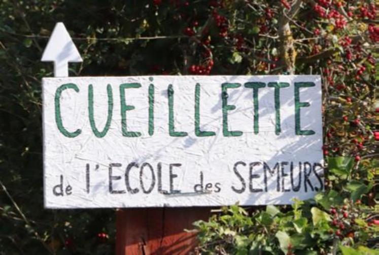 Dans le cadre de l’événement organisé par Bio en Normandie, l’école des semeurs propose au public cueillette et visite de la ferme.