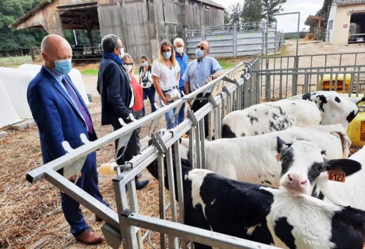 Le centre de formation en élevage de Canappeville est un petit établissement qui forme à l’élevage bovin laitier et à
l’élevage porcin.