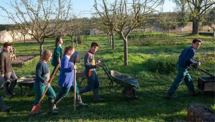 Les jeunes sont attirés vers les métiers de l’agriculture.