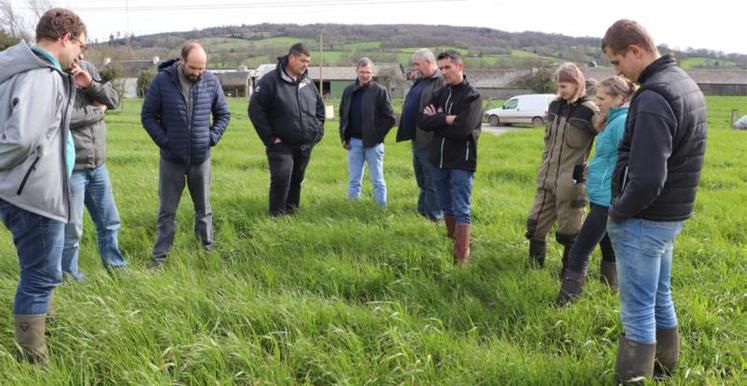 Une dizaine de participants a répondu présente, dont des agriculteurs du GIEE légumineuses de Normandie.