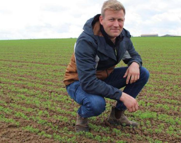 Marius Voeltzel est producteur de légumineuses de printemps dans
le Vexin depuis 2018. Il a créé sa marque Pousses de là, vendue à la
ferme et en magasins spécialisés en agriculture biologique. Semées
au printemps, les lentilles de Marius Voeltzel se récoltent en juillet et
le quinoa et les pois chiche quelques semaines après.