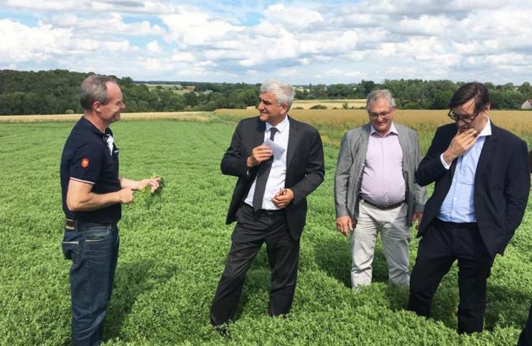 La production de lentilles est en test dans le département de l’Eure.