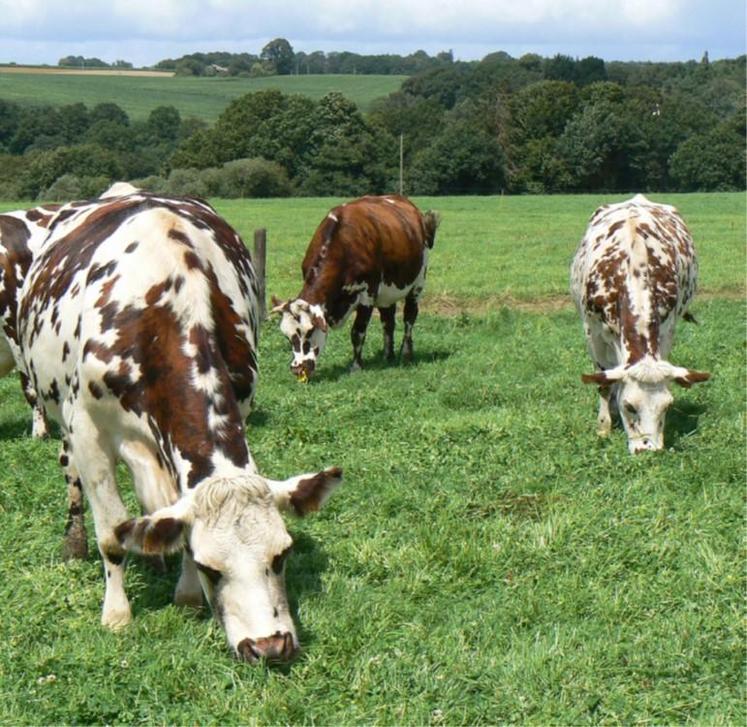 Biotex a été créé pour
aider les éleveurs à mieux
comprendre le potentiel de
biodiversité de leurs parcelles
et du territoire dans
lequel ils évoluent.