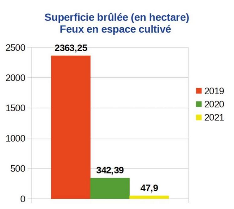 Il y a eu 7 fois moins de surfaces brûlées grâce à votre
contribution. Le nombre d’interventions de juin à août inclus
était de :
• En 2019 : 172 interventions
• En 2020 : 169 interventions
• En 2021 : 57 interventions