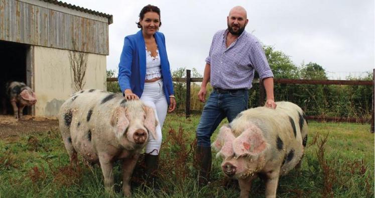 Sana et Ludovic Lemancel élèvent des cochons de Bayeux, à Pont-Hébert, dans la Manche.