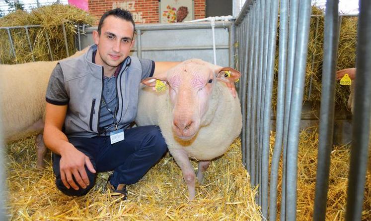 Sylvain Chaumont avec son bélier lors au SIA 2019.