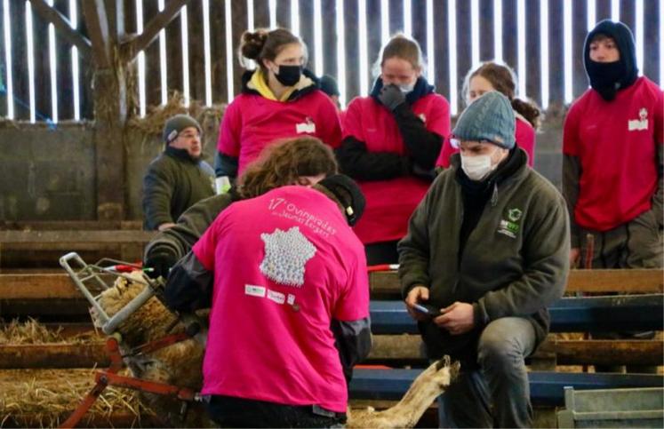 Sous les yeux des jurys, de leurs camarades de classe et de leurs concurrents, les jeunes bergers normands ont déroulé une série d’épreuves, mardi 18 janvier, pour tenter de se qualifier pour la
finale nationale du Salon de l’agriculture.