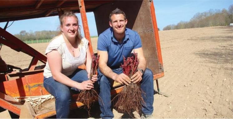 Delphine et Matt, un couple franco-britannique et le début d’une aventure viticole en Normandie. Une façon aussi d’ancrer durablement