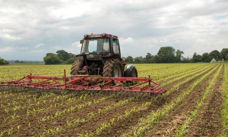 Les herbicides à base de S-Métolachlore, très utilisés en
maïs, connaissent des restrictions d'usage.