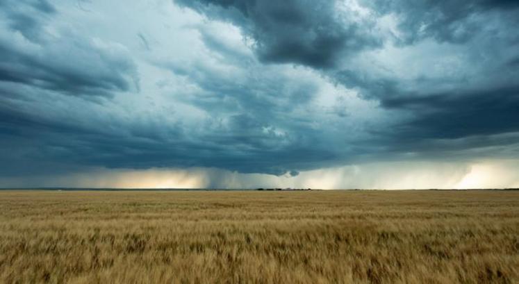 La loi du 2 mars 2022 instaure une couverture universelle contre les risques climatiques accessible à tous les agriculteurs.