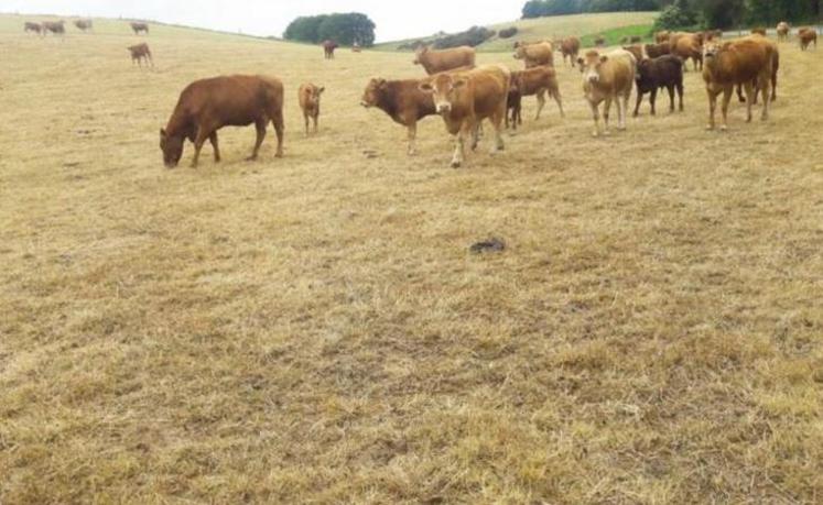 Trois communes de l'Eure sont concernées par des pertes supérieures à 30 % : Tilly, Heubécourt-Haricourt et Mézières en Vexin.