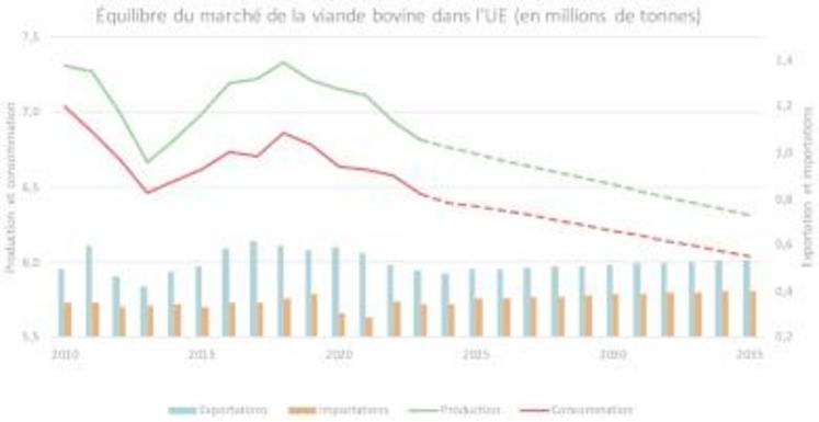 La consommation et la production de viande bovine devraient diminuer de 0,6 million de tonnes équivalant carcasse d'ici 2035 (-9,2 %)