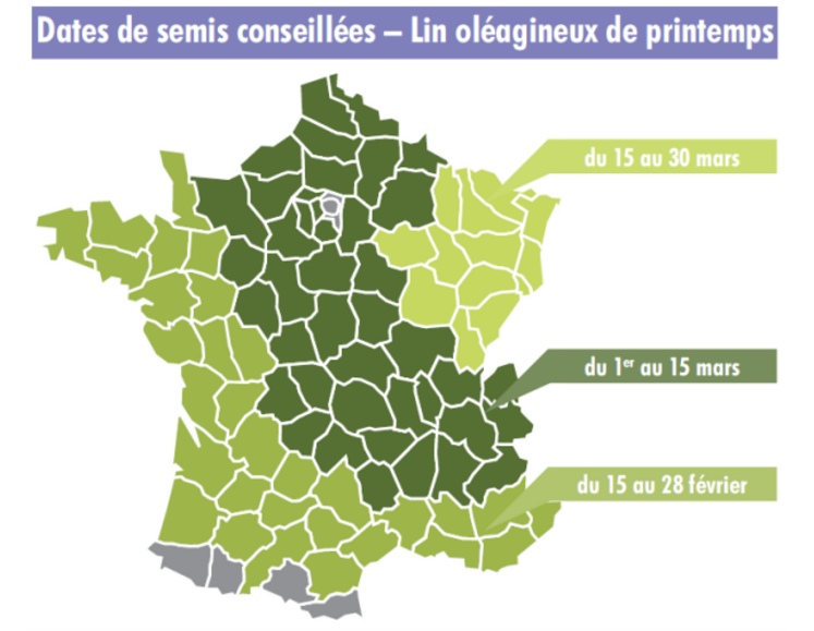 Dates de semis conseillées - Lin oléagineux de printemps.