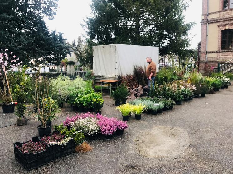 Plusieurs pépiniéristes ont annoncé le printemps.