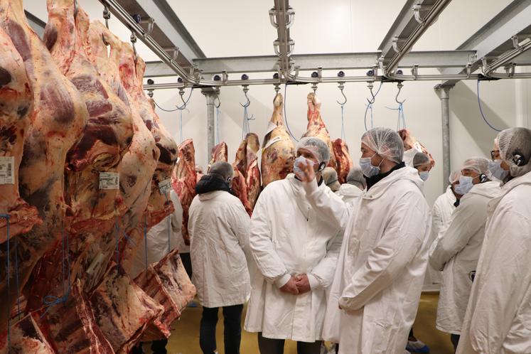 Depuis une dizaine d'années, les agriculteurs du syndicat de race Charolais de l'Orne apporte des bêtes aux Éleveurs de la Charentonne.