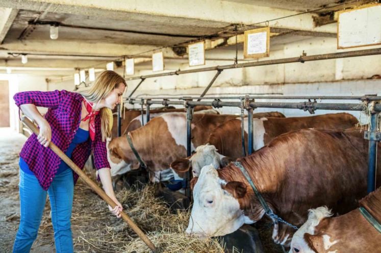 La prochaine loi d'orientation agricole devra offrir aux jeunes agriculteurs un droit à l'essai. 