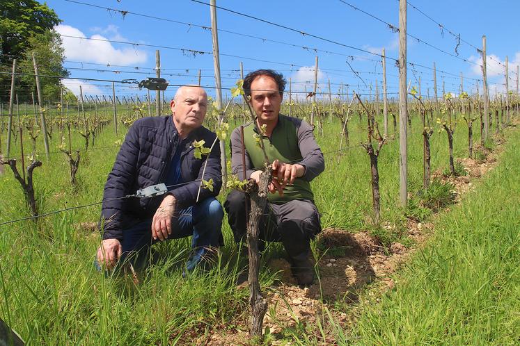 Christophe Rechaux (conseiller foncier Safer) et Étienne Fournet. La Safer a joué un rôle de facilitateur dans cette installation-transmission. Elle reste en veille sur l'identification de parcelles qui seraient adaptées à la viticulture dans un contexte de réchauffement climatique.