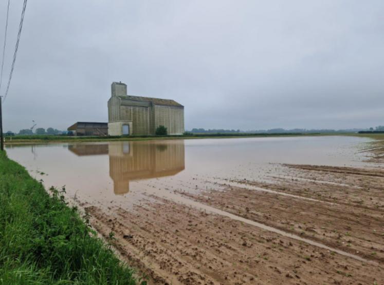 Les excès d'eau peuvent causer des dommages à certaines cultures, comme la formation de trous d'eau dans les parcelles.