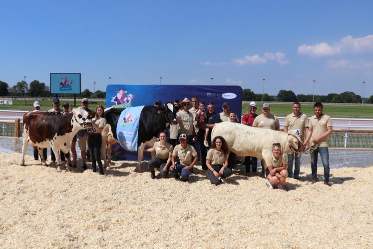 De gauche à droite : Nopassaran du Gaec H.2.L.M (61) pour les Normandes, Olympiade de la SCEA de la Jugletière (61) pour les Prim'Holsteins, sacrée grande championne du concours, ainsi qu'Ulima P de l'EARL Fritel (61) pour les Charolaises. Un podium 100 % ornais.