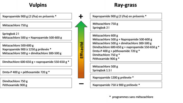 Synthèse des efficacités sur vulpins et ray-grass des applications au semis (essais de Terres Inovia).