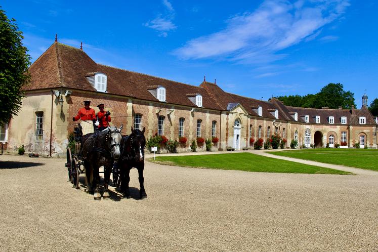 Haras du Pin