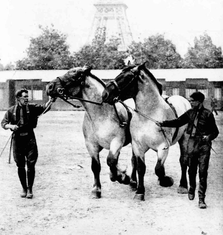 Illustration Extrait Journal L'Agriculture Nouvelle 26 juillet 1924.