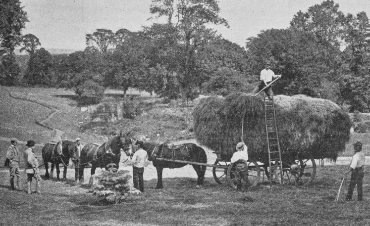 Depuis 1913, la culture du blé en France a « diminué de plus d'un million d'hectares : 6 500 000 hectares à cette date, 5 400 000 aujourd'hui ".