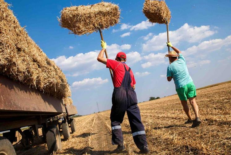 La pratique du sport dans le milieu agricole permet de prévenir les différents risques liés à la profession, qu'ils soient physiques, psychologiques ou sociaux.