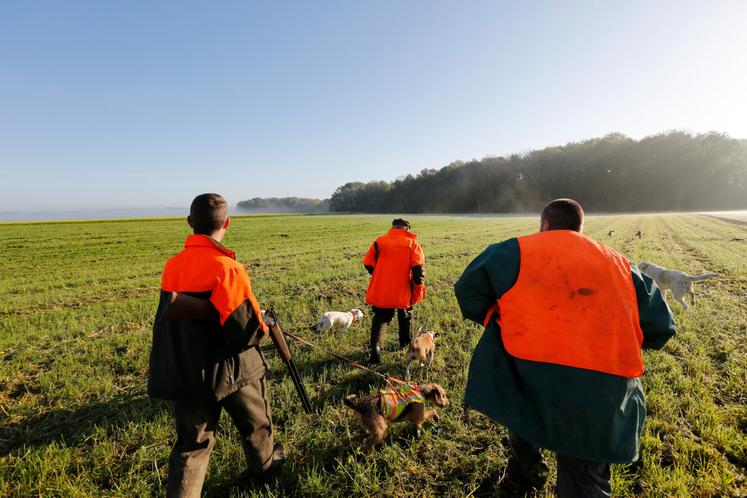 70 % des chasseurs déclarent participer bénévolement à des actions en faveur des milieux naturels.