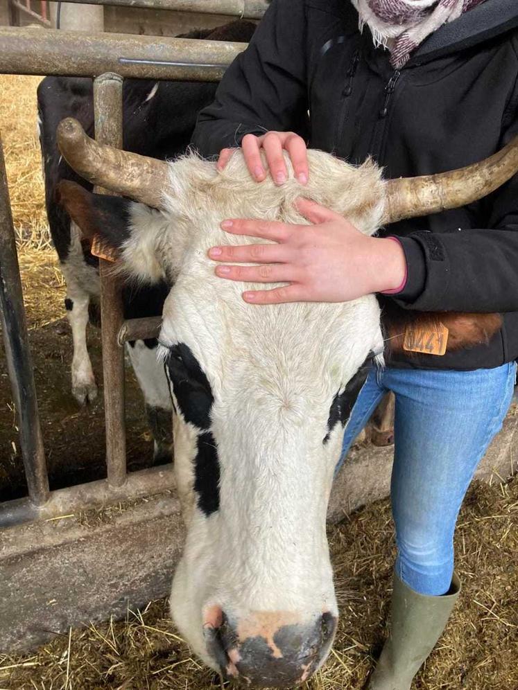 Camille Duyck ostéopathe animalière
