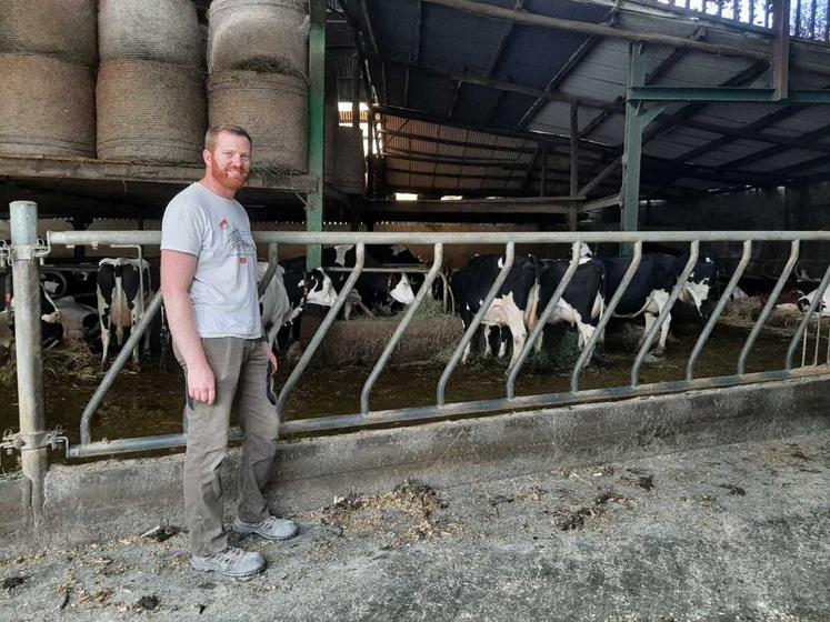 Emmanuel Roch devant son troupeau de vaches laitières.