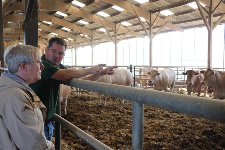 Il y a quelques années, Vincent Meyer a repensé son bâtiment d'élevage pour plus de bien-être animal pour ses génisses de viande qu'il engraisse jusqu'à trois ans.