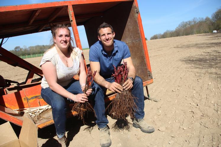 Avril 2021. Les 8 400 premiers pieds de vigne ont été plantés sur 1,6 ha.