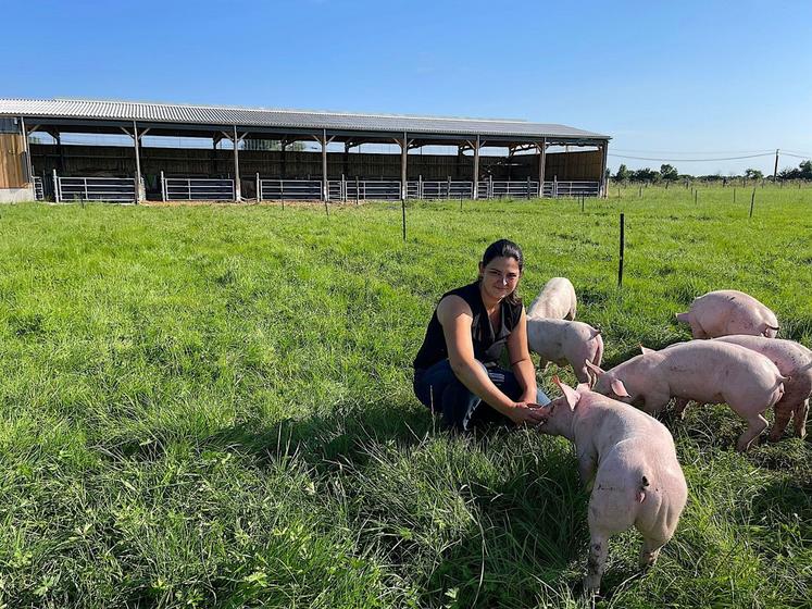 "Les porcs sortent souvent le soir, à l'heure de l'apéritif", s'amuse Laura Behotas. "S'il fait trop chaud, ils rentrent se mettre au frais".