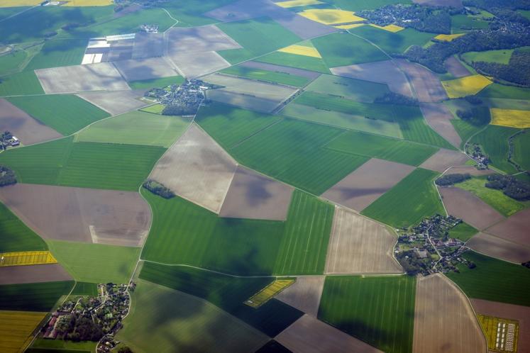 La filière maïs s'inquiète du contrecoup du contingent supplémentaire de 1 Mt de maïs accordé au Mercosur.