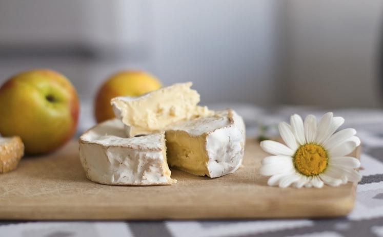 Un fromage doit respecter des exigences strictes pour obtenir l'AOP Camembert de Normandie.