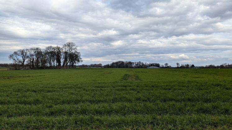 Essai densité semis dérobés (76).