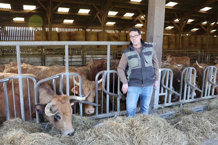 La ferme Belleau a choisi de changer de race en 2011. Passant de la Salers à l'Aubrac, Ambroise Piednoir s'adapte chaque jour. Depuis 2018, l'exploitant s'est diversifié avec la production de volailles. "C'était pour ramener du client pour le cidre. Ça entraîne de l'achat additionnel", dit-il.
