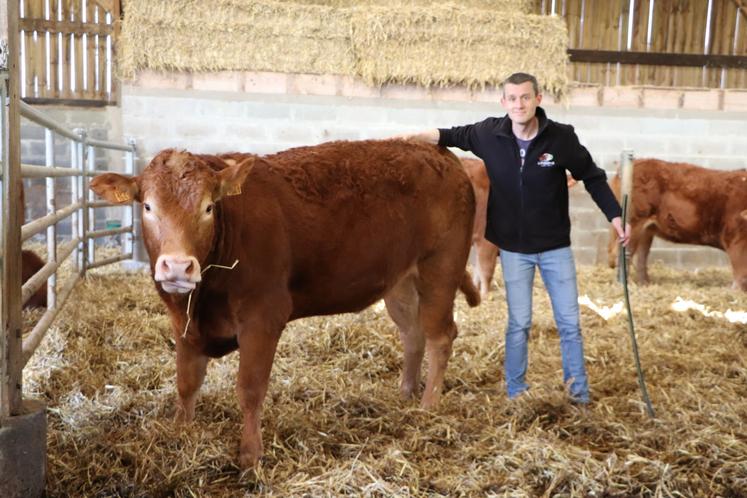 "C'est une race très très familière et docile. Je prends du temps tous les soirs avec chaque veau. Ce travail, dès tout petit, on le retrouve quand l'animal est adulte", décrit-il, ici au côté de sa favorite Utah P.
