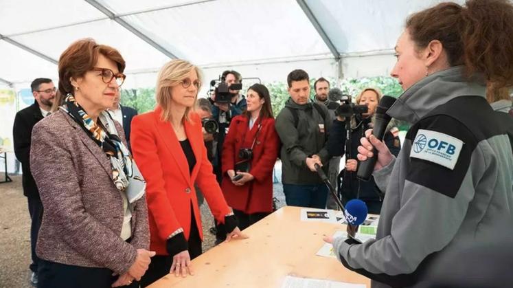 Annie Genevard et Agnès Pannier-Runacher  souhaitent renouer le dialogue entre l'OFB et le monde agricole.