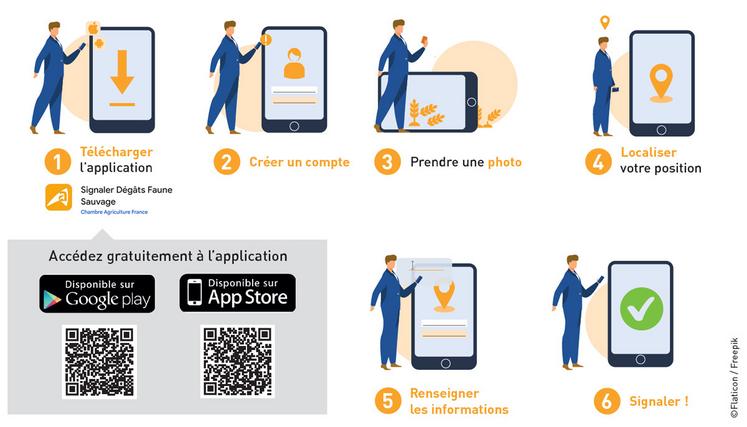 Le fonctionnement de l'application dégâts de la faune sauvage est très simple.