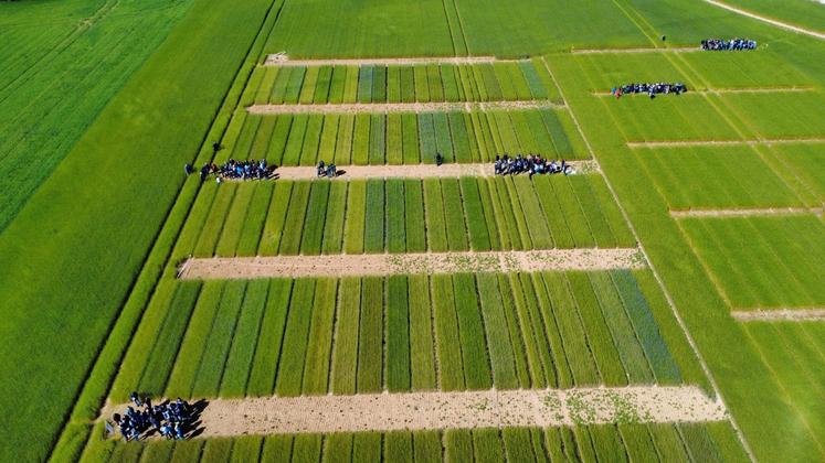 Près de 250 visiteurs se sont succédé jeudi 15 mai pour assister aux visites thématiques.