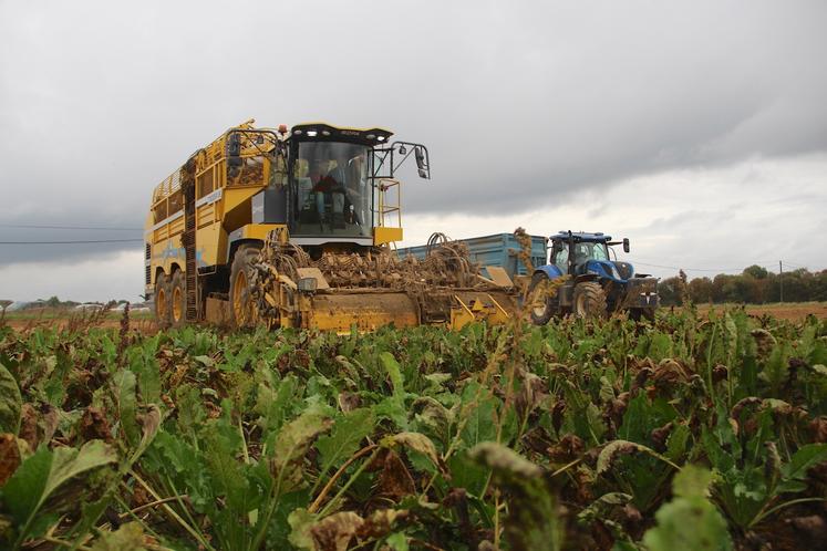 "Attention, si la betterave sucrière ne rémunère pas assez face à l'envolée des coûts de production, les surfaces risquent de baisser significativement", prévient la CGB 27.