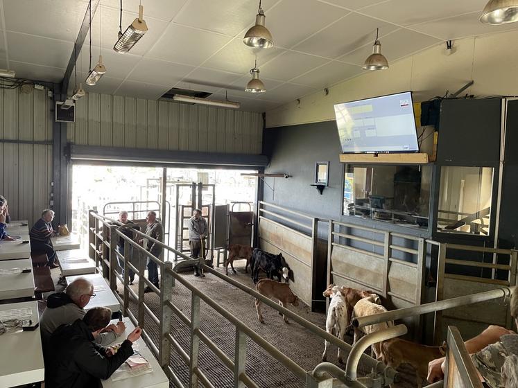 Depuis 2023, le marché au cadran de Saint-Pierre-en-Auge bénéficie d'un écran numérique, comme à Soligny-la-Trappe.