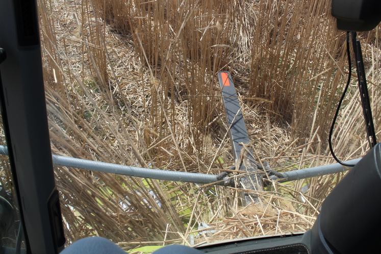 ensilage ensileuse, moisson miscanthus