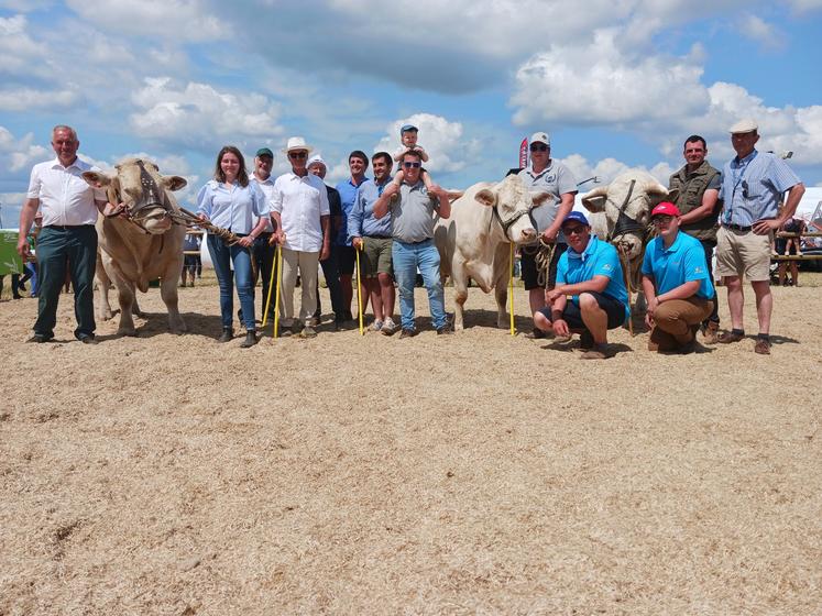 Le concours des races allaitantes s'est déroulé lors de "Champs en fête" les 14 et 15 juin dernier à Gisors.