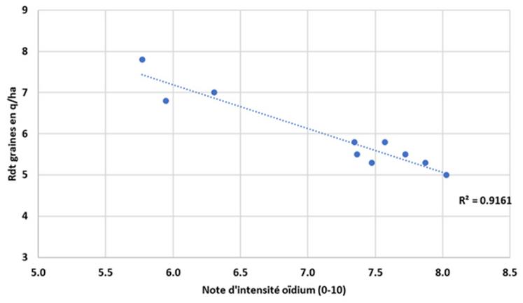Figure 4 : rendement en graines en q/ha en fonction de l'intensité d'oïdium.